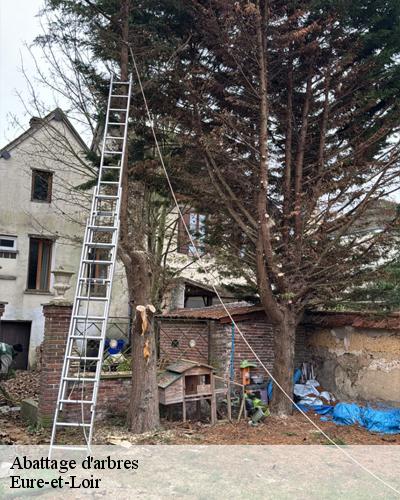 abattage-d-arbre-28-eure-et-loir-2