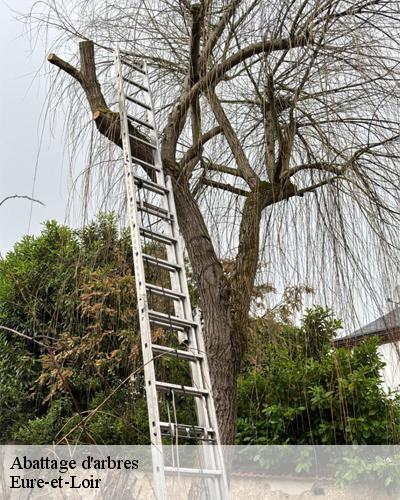 abattage-d-arbre-28-eure-et-loir-5
