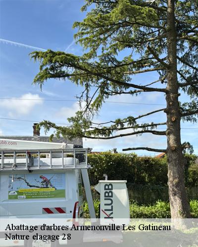 abattage-d-arbre-armenonville-les-gatineau-28320-4