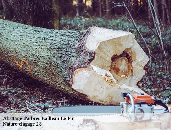 abattage-d-arbre-bailleau-le-pin-28120-7