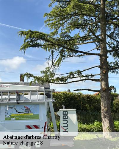 abattage-d-arbre-charray-28220-4