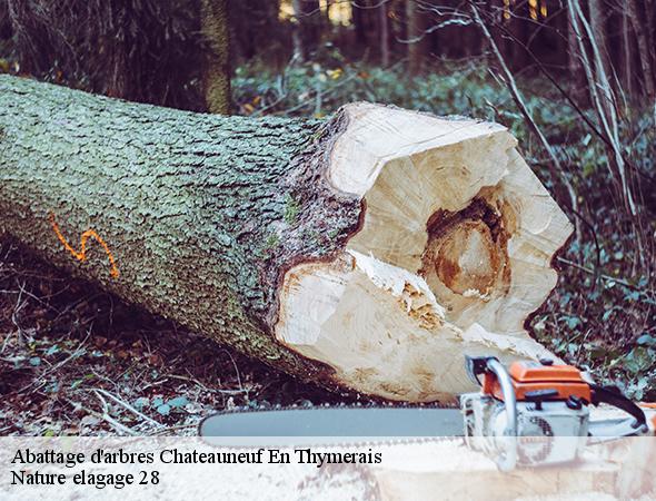 abattage-d-arbre-chateauneuf-en-thymerais-28170-7
