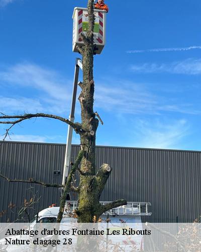 abattage-d-arbre-fontaine-les-ribouts-28170-1