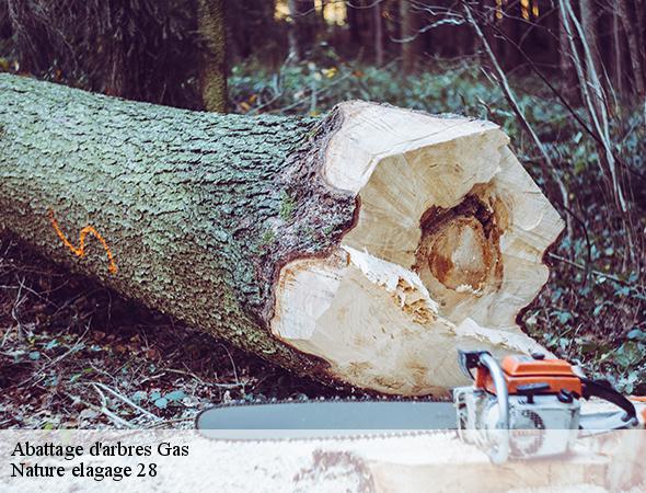 abattage-d-arbre-gas-28320-7