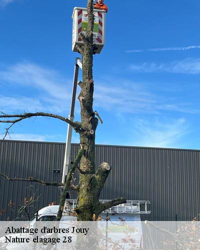 abattage-d-arbre-jouy-28300-1