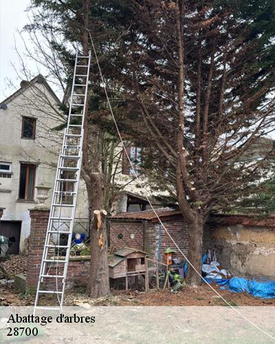 abattage-d-arbre-levainville-28700-2