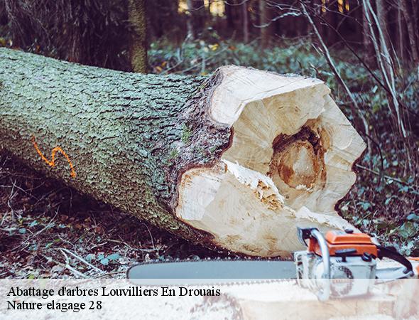 abattage-d-arbre-louvilliers-en-drouais-28500-7