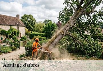 abattage-d-arbre-mainterne-28270-3