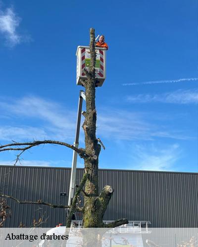 abattage-d-arbre-mainterne-28270-6