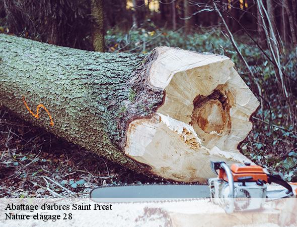 abattage-d-arbre-saint-prest-28300-7