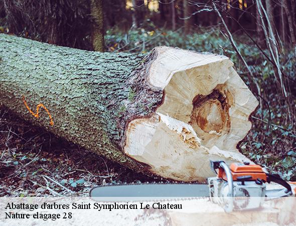 abattage-d-arbre-saint-symphorien-le-chateau-28700-7