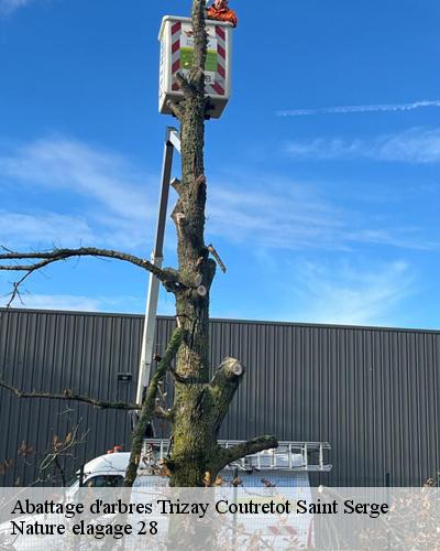 abattage-d-arbre-trizay-coutretot-saint-serge-28400-1