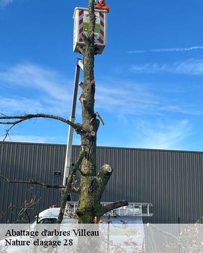 abattage-d-arbre-villeau-28150-1