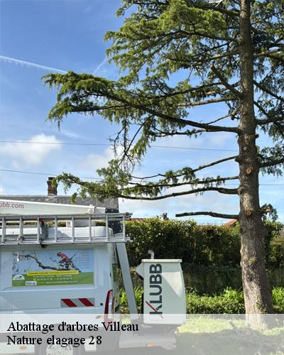 abattage-d-arbre-villeau-28150-4