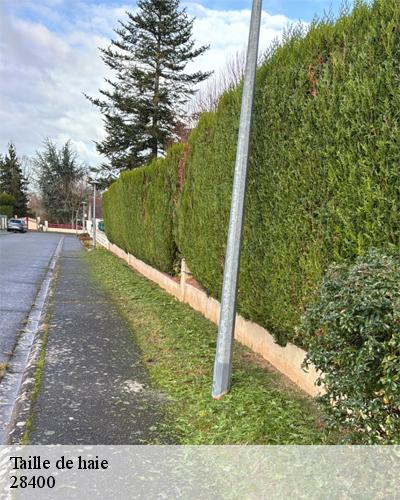 taille-de-haie-champrond-en-perchet-28400-5