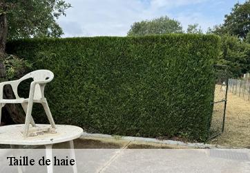 taille-de-haie-mevoisins-28130-3