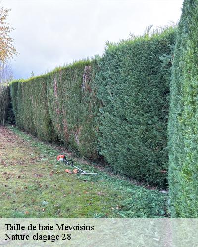 taille-de-haie-mevoisins-28130-4