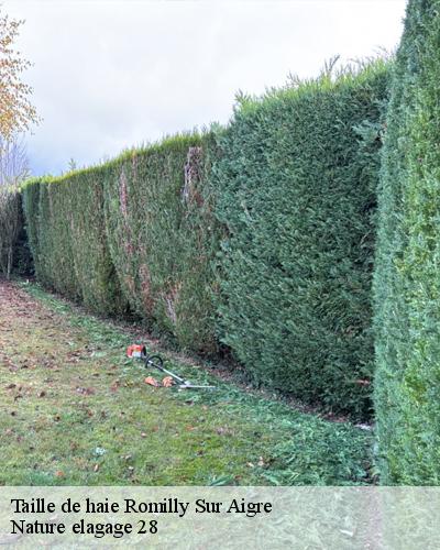 taille-de-haie-romilly-sur-aigre-28220-4