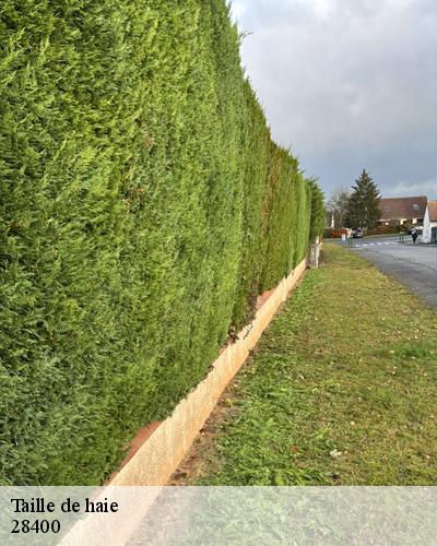 taille-de-haie-saint-jean-pierre-fixte-28400-2