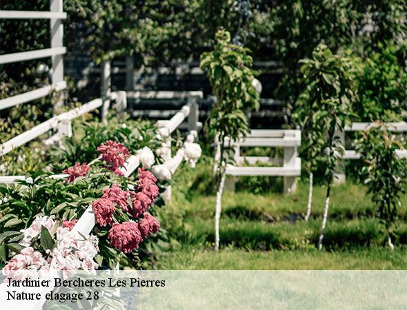 jardinier-bercheres-les-pierres-28630-7