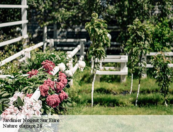 jardinier-nogent-sur-eure-28120-7
