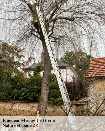 elagueur-meslay-le-grenet-28120-4