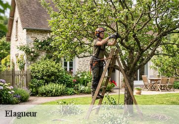 elagueur-ymonville-28150-3