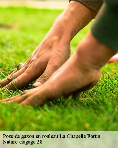 pose-de-gazon-en-rouleau-la-chapelle-fortin-28340-4