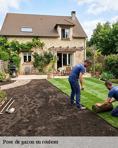pose-de-gazon-en-rouleau-chapelle-royale-28290-6