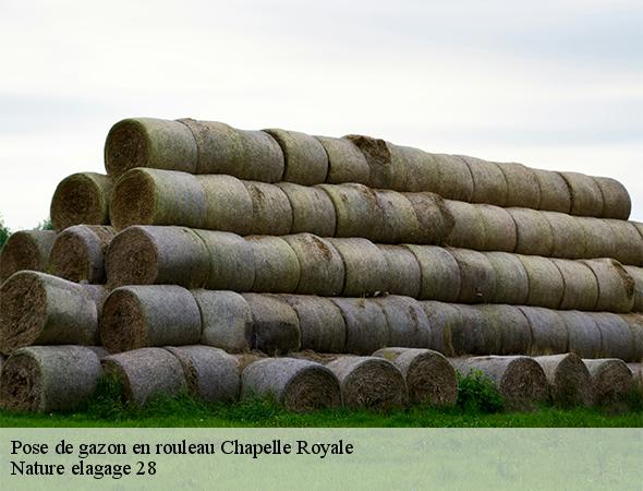 pose-de-gazon-en-rouleau-chapelle-royale-28290-7