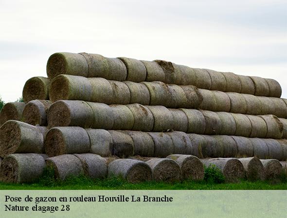 pose-de-gazon-en-rouleau-houville-la-branche-28700-7