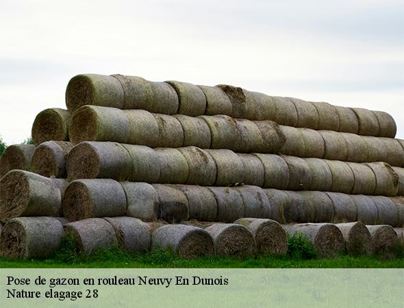 pose-de-gazon-en-rouleau-neuvy-en-dunois-28800-7