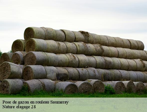pose-de-gazon-en-rouleau-saumeray-28800-7