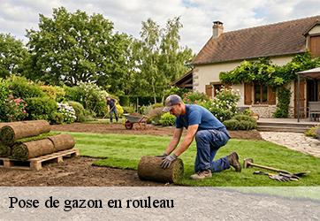 pose-de-gazon-en-rouleau-ymonville-28150-3