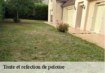 tonte-et-refection-de-pelouse-croisilles-28210-3