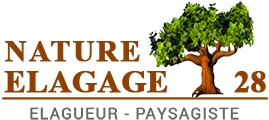elagage-nature-elagage-28